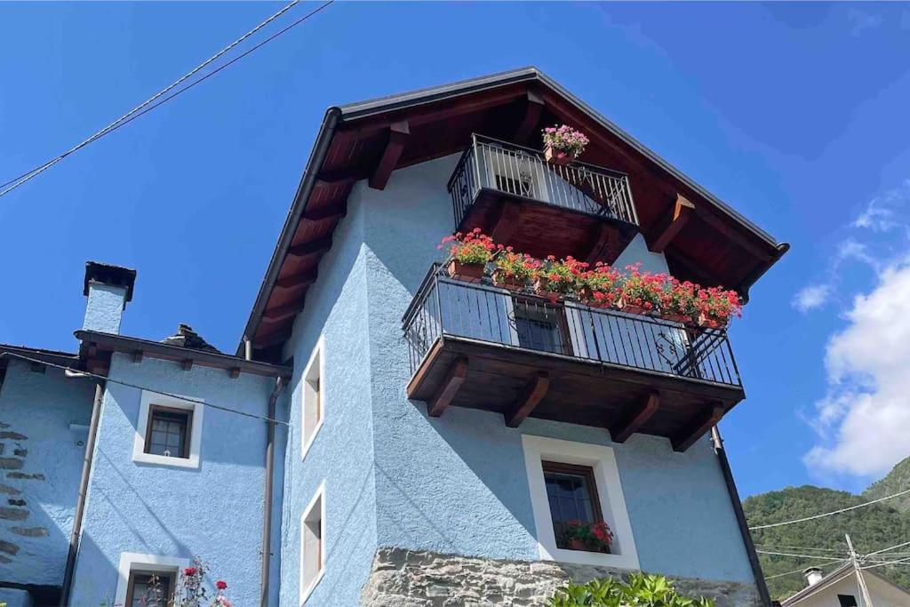 Casa Del Cios Calda E Intima Casetta Immersa Nel Delle Montagne Holiday home *